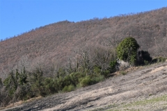 59 Villa del Carmine (2)