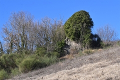 59 Villa del Carmine (3)