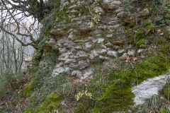 38 Rovine del castello