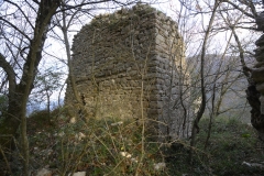 50 Torre
