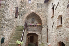 IMGP4974