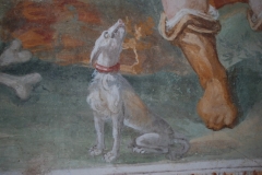 65a Particolare -Cane rabbioso e piede di San Vito