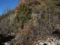 39 Cave di calcare