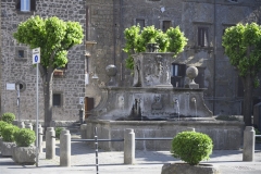 15 Fontana del Borgo Fuori