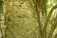 51 Abside