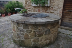 IMGP5334