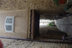 IMGP5337