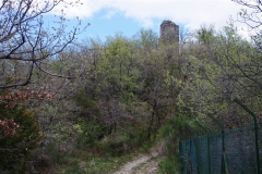 IMGP2351