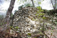 IMGP2355