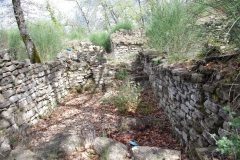 IMGP2356