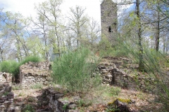 IMGP2358