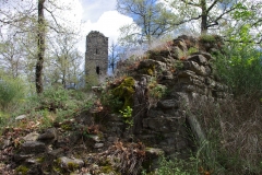 IMGP2364