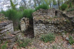 IMGP2372