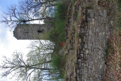 IMGP2374