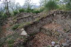 IMGP2377