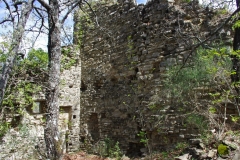 IMGP2383