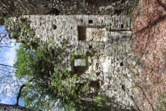 IMGP2385