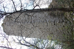 IMGP2387