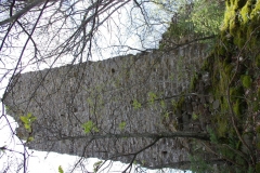 IMGP2390