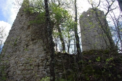 IMGP2392