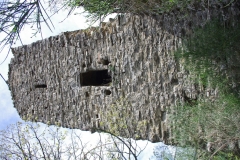 IMGP2395