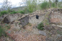 IMGP2401
