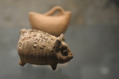 20 Porcellino