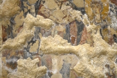 36 Santo Vescovo