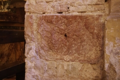 IMGP5071