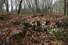 04 Ruderi dell'insediamento eremitico