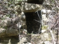 dscn0940