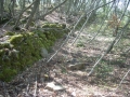 dscn0946