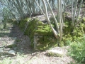 dscn0948