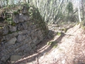 dscn0973