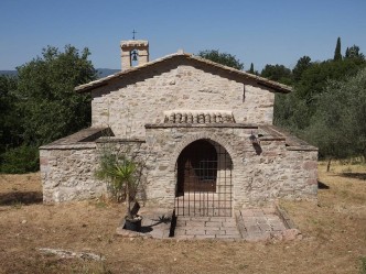 madonna olivo - assisi 14